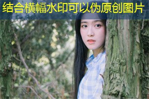 Shanghai's electoral laws and regulations